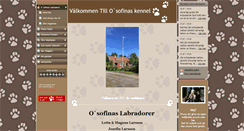 Desktop Screenshot of osofinas.se